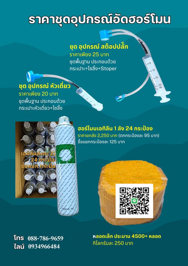 การเจาะยางพารา ด้วยเอทีลีน 