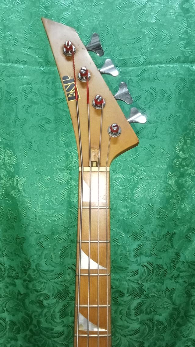 Bass ESP 8