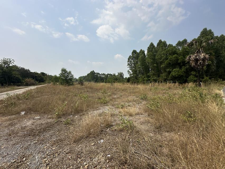 ขายที่ดินเปล่า ใกล้โรงเรียมเตรียมทหาร ตำบลศรีกะอาง อำเภอบ้านนา จังหวัดนครนายก เนื้อที่รวม 5 ไร่ 1 งาน 13