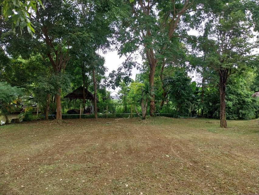 ที่ดินบ้านโป่ง จ.ราชบุรี ใกล้ทางด่วนสาย 81 บางใหญ่-กาญจนบุรี ที่ดินติดน้ำ โฉนดครุฑแดง พร้อมโอนกรรมสิทธิ์ 17