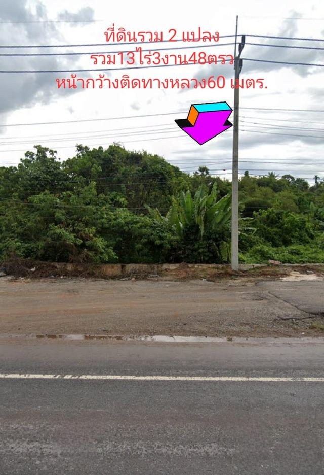 ขายที่ดินติดถนน อำเภอบ้านนาสาร สุราษฯ 8