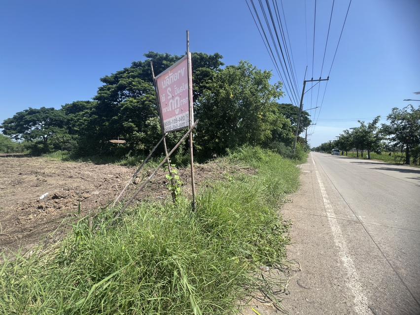 ที่ดินเปล่า ติดถนน ตำบลพืชอุดม อำเภอลำลูกกา จังหวัดปทุมธานี 4