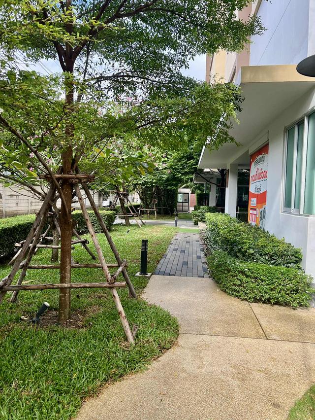 ขายด่วน บีไฟฟ์ คิริน คอนโด ราชพฤกษ์ ใกล้เซนทรัลเวสต์วิลล์ แถมเครื่องใช้ไฟฟ้าพร้อมเข้าอยู่ได้เลย 16