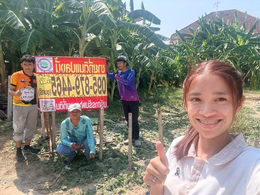 ขายถูกทีดินลาดสวาย 124 ตารางวา ติดถนนคอนกรีตสาธารณะ ถมแล้ว ซอย ร่วมสุข 3 อ.ลำลูกกา จ.ปทุมธานี 1