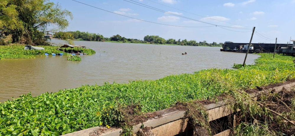 ขายที่ดินติดแม่น้ำเจ้าพระยา ทำเลดี 4