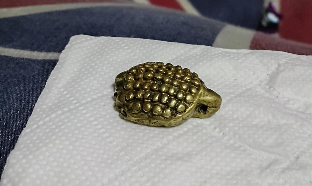 เต่ามะเฟืองหลวงพ่อเงิน