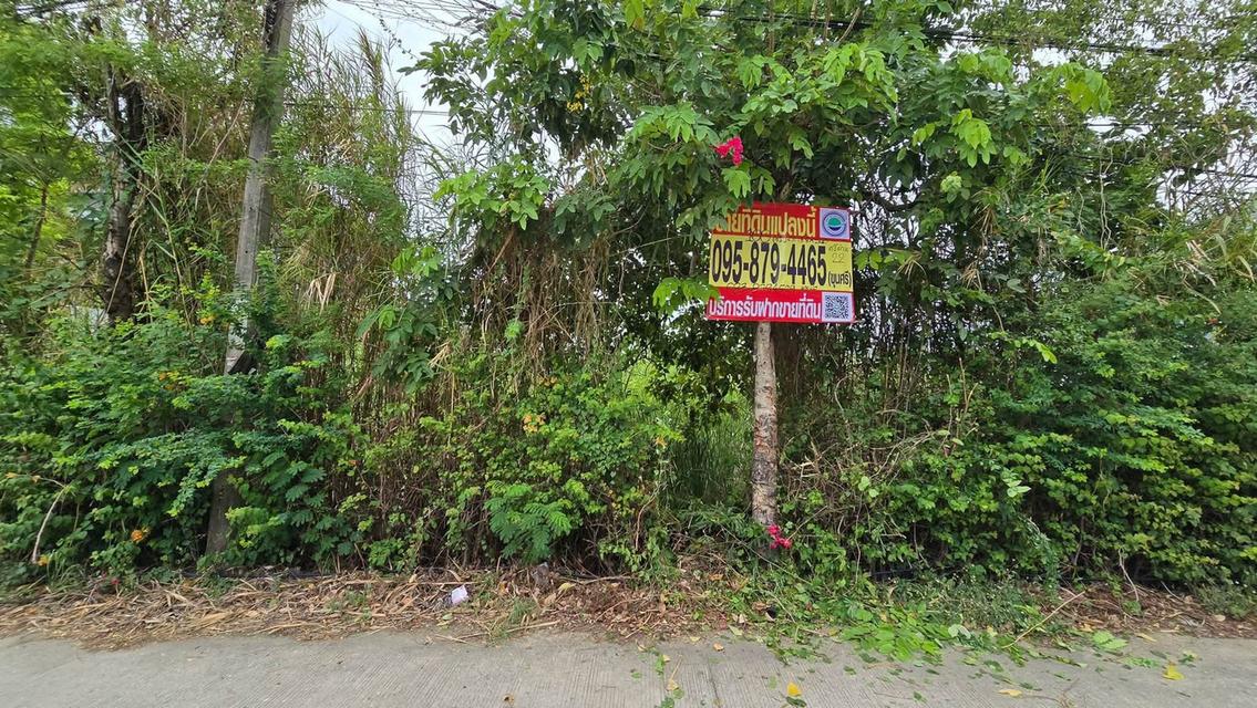 ขายด่วนที่ดินศรีด่าน 100 ตรว ติดถนนคอนกรีตสาธารณะ ซ.พัฒนาชุมชน 29 บางพลี สมุทรปราการ 7
