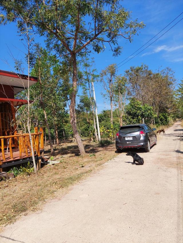 ที่ดินอ.เมืองหวัดสระแก้ว 6