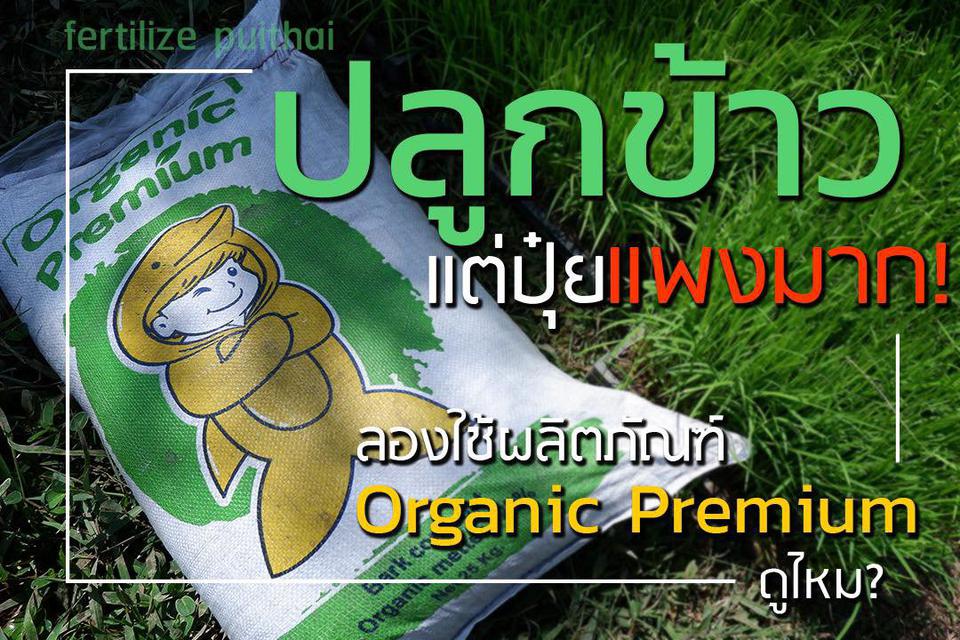 Organic Premium ปลูกข้าวปลอดภัย เลือกใช้ สารบำรุงดิน ORGANIC PREMIUM  1