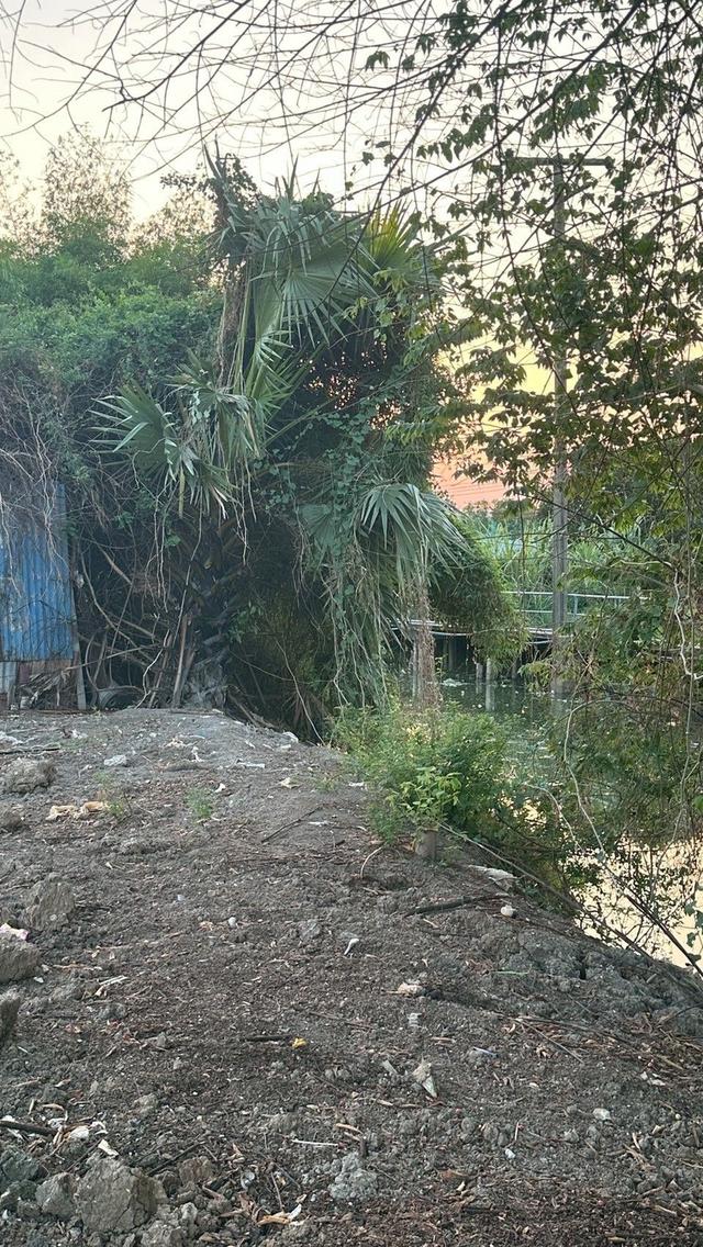 ขายที่ดิน 300 ตรว.แพรกษา ติดคลอง 7