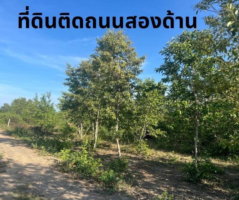 ที่ดิน กุยบุรี ประจวบคีรีขันธ์ ขนาด 1 ไร่ 1 งาน 289,000 บาท 10