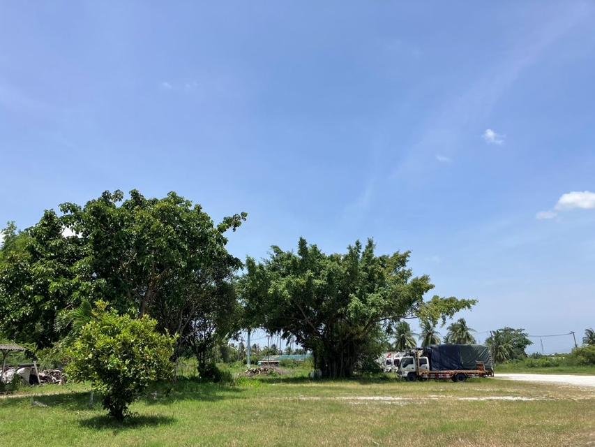 ขายที่ดินศรีราชา ชลบุรี ทำเลดี ใกล้ท่าเรือแหลมฉบัง เหมาะสร้างบ้านจัดสรร , โกดัง , มินิแฟคตอรี่ เนื้อที่ 20.5 ไร่ 6