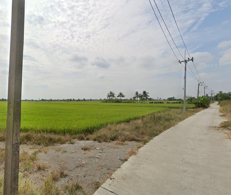 ขายที่ดินบางกะไห แปดริ้ว 6 ไร่ ติดคลองติดถนนคอนกรีตหลังวัดแพรกนกเอี้ยง ใกล้ถ.ฉช.2004 -900เมตร เมืองฉะเชิงเทรา 4