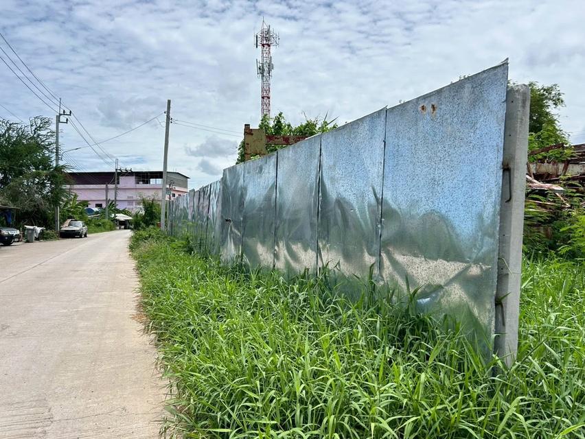 ขายที่ดิน 100 ตรว ติดถนนสาธารณะ ถมแล้ว ถ.นางทองย้อย๑ บางบอน กทม 6