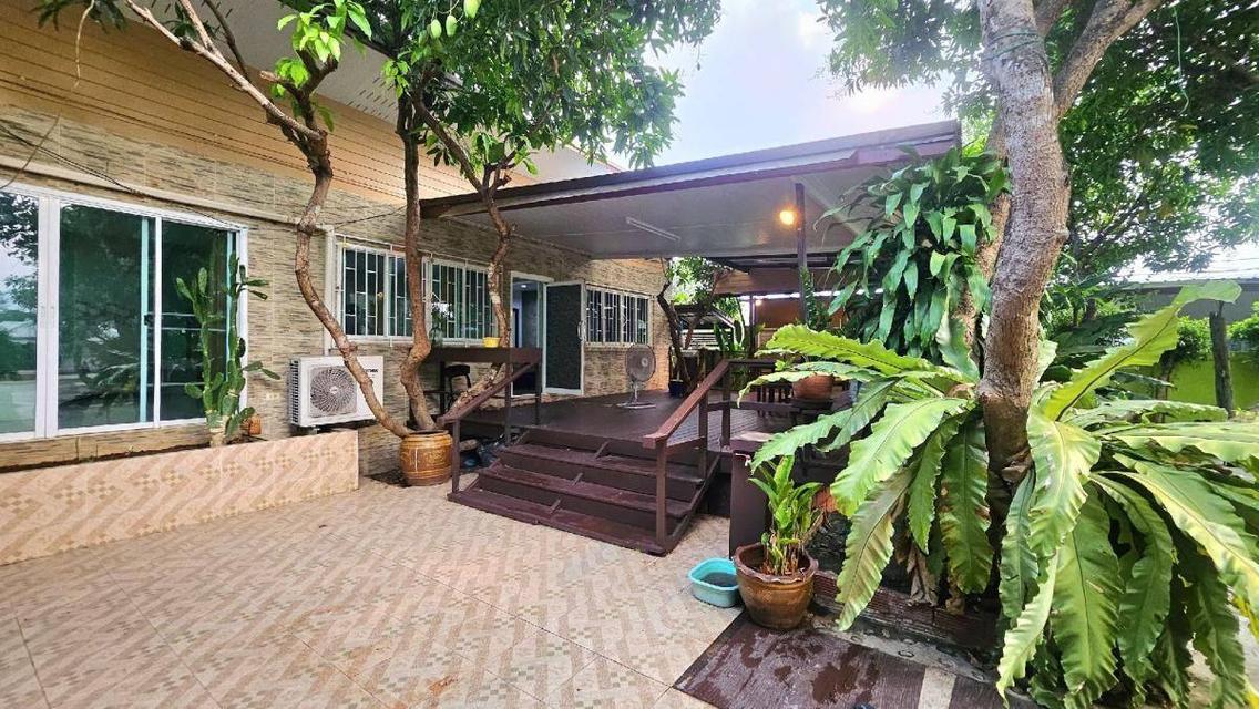 🏡ขายที่ดินแถมบ้านสวนใกล้ร.พ.สันทราย/กาดฝรั่ง/ม.แม่โจ้ เข้าเมืองไม่เกิน 20 นาที น้ำไม่ท่วม 6