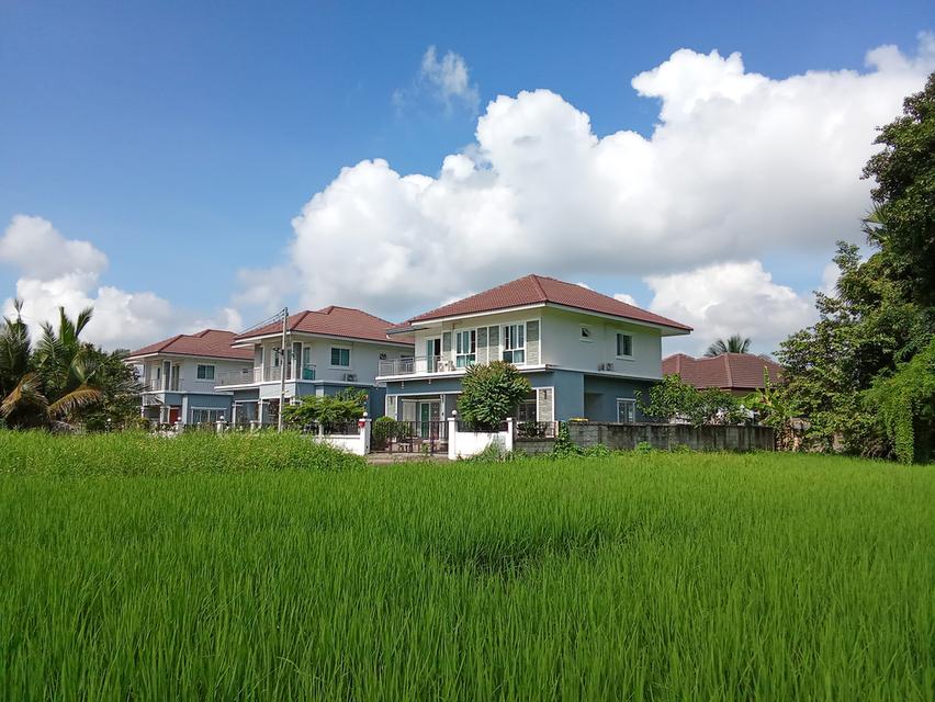 บ้านเดี่ยว 2ชั้น 3นอน 4น้ำ อยู่สันกำแพง เชียงใหม่ 7