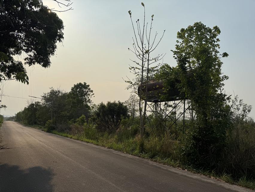 ขายที่ดินสวนผึ้งราชบุรี 34 ไร่ 1