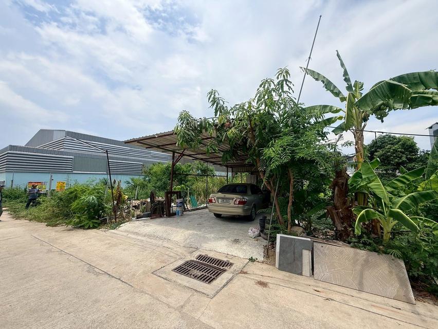 ขายด่วนที่ดินผังสีม่วงเข้ม 95 ตรว ติดถนนสาธารณะ ซ.นวนทอง 9 กระทุ่มแบน สมุทรสาคร 4