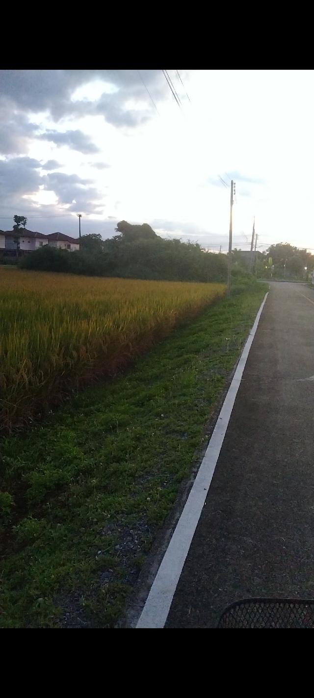 ให้เช่า ที่ดินเชียงใหม่ 3