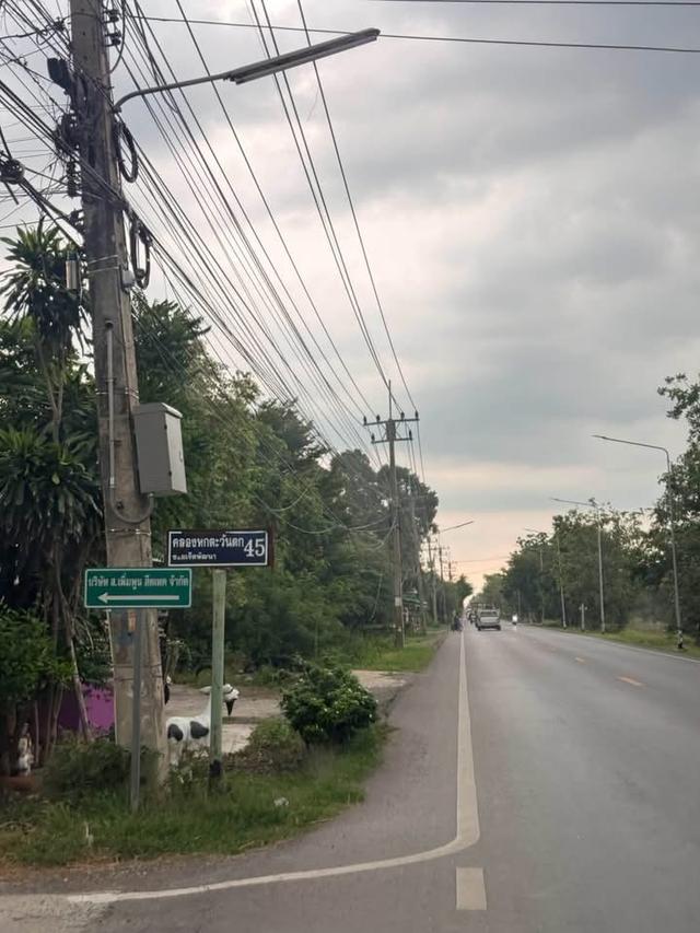 ขายด่วนที่ดิน 100 ตารางวา ติดถนนคอนกรีต ซอย เจ็ดพัฒนา คลองหก คลองหลวง ปทุมธานี 2