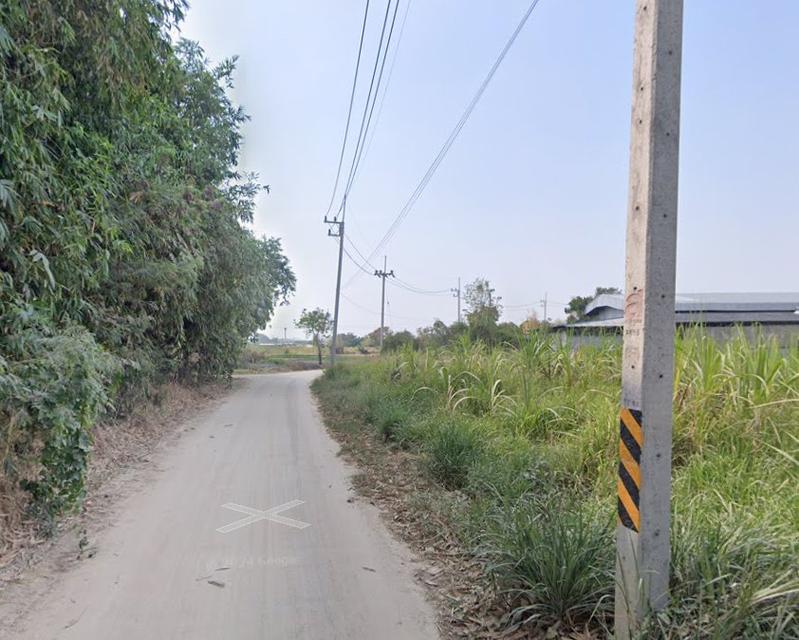 ขายที่ดินหนองหงษ์ พานทอง 8 ไร่ ติดถนนคอนกรีต ใกล้ถนนเส้นชบ.3023-2กม. จ.ชลบุรี 2