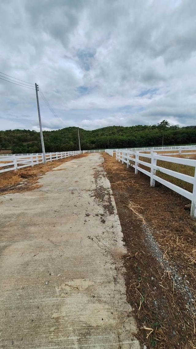 ขายที่ดิน วิววภูเขา บรรยากาศติดธรรมชาติ 7