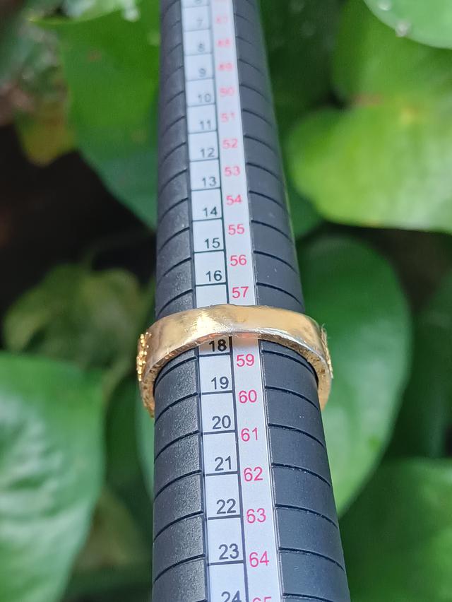 แหวนพระครูอุดม
