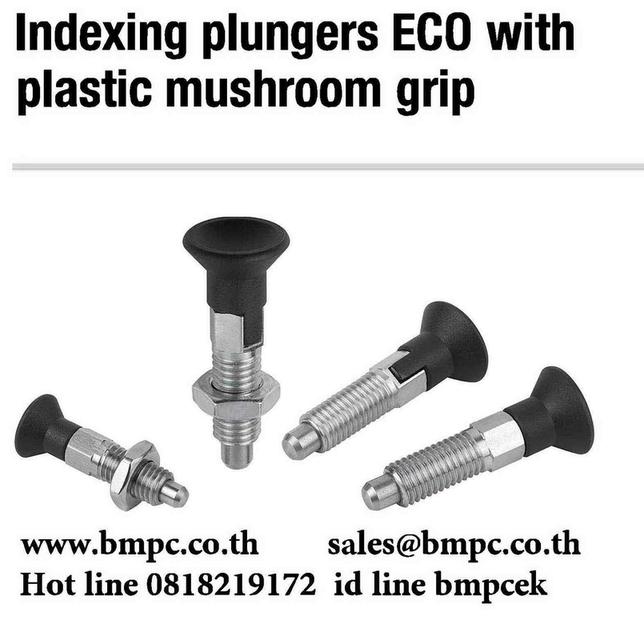 Locking bolt standard pitch, Index plunger, Plunger with pin, สลักล๊อกตำแหน่ง