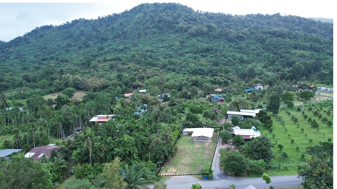 ขายบ้านพร้อมที่ดิน 200 ตารางวา ต.เขาพระ ติดถนนหลัก วิวเขาชัด เหมาะดัดแปลงทำพูลวิลล่า 14