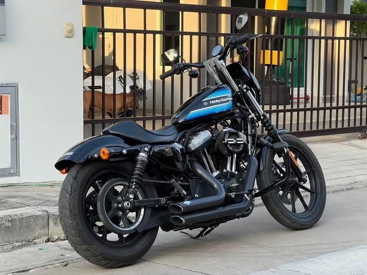 Harley Davidson Iron มือสอง 6