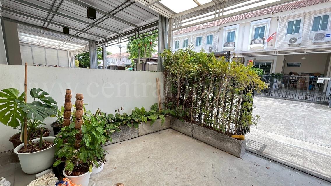 ทาวน์เฮ้าส์ พฤกษาวิลล์ 104 เพชรเกษม 81 - พุทธสาคร บ้านสวย ราคาถูก 3