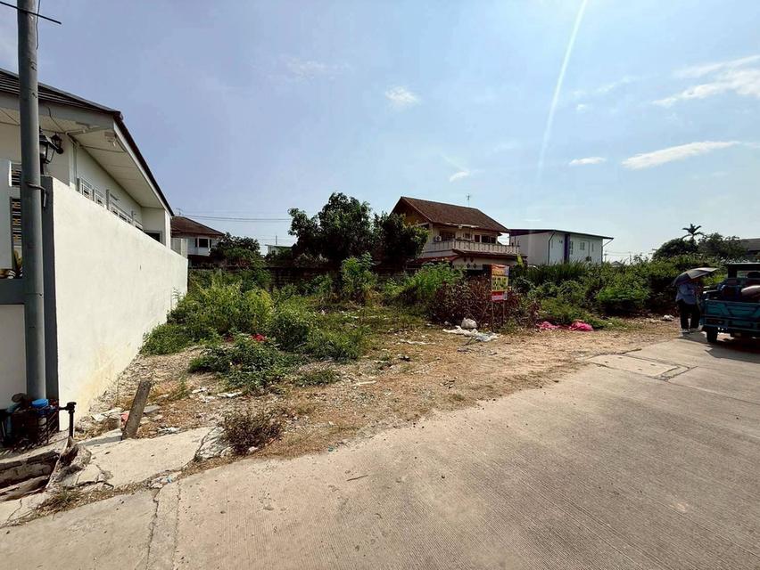 ขายด่วนที่ดินคลองสอง 50 ตรว ติดถนนคอนกรีตสาธารณะ ซ.บงกช 43 คลองหลวง ปทุมธานี รูปย่อยที่ 1