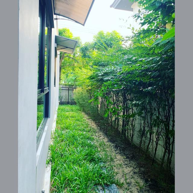 ประกาศให้เช่า – บ้านแฝดสไตล์บ้านเดี่ยว พร้อมอยู่ ทำเลพระราม 9 – อ่อนนุช (เข้าอยู่ได้ 12 กุมภา 2569) 8