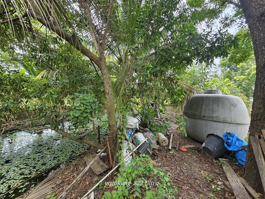 ขายที่ดิน 3-0-80 ไร่ พร้อมสิ่งปลูกสร้าง ติดถนนเลียบคลองขุนศรี ต.ไทรน้อย อ.ไทรน้อย จ.นนทบุรี 20