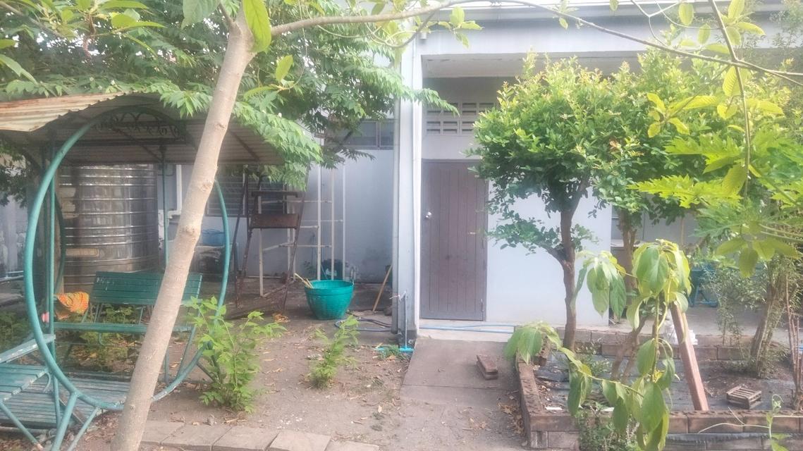 House  for rent Bigger area   114 sq.wah  5 Beds without furniture furniture  zone Lat Phrao ,Chatuchak not far from Chtuchak Park BTS LINE 4