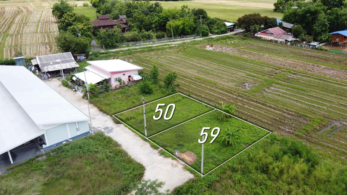 ที่ดินแบ่งขาย 50 และ 59 ตร.ว. เริ่มต้น 300,000 บาท น้ำไฟถนนคอนกรีตพร้อม