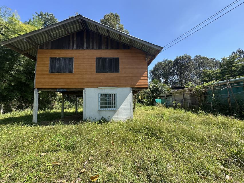 ขายด่วนที่ดินแถมบ้าน อำเภอเมืองอุบลราชธานี ใกล้สนามบินอุบล 12