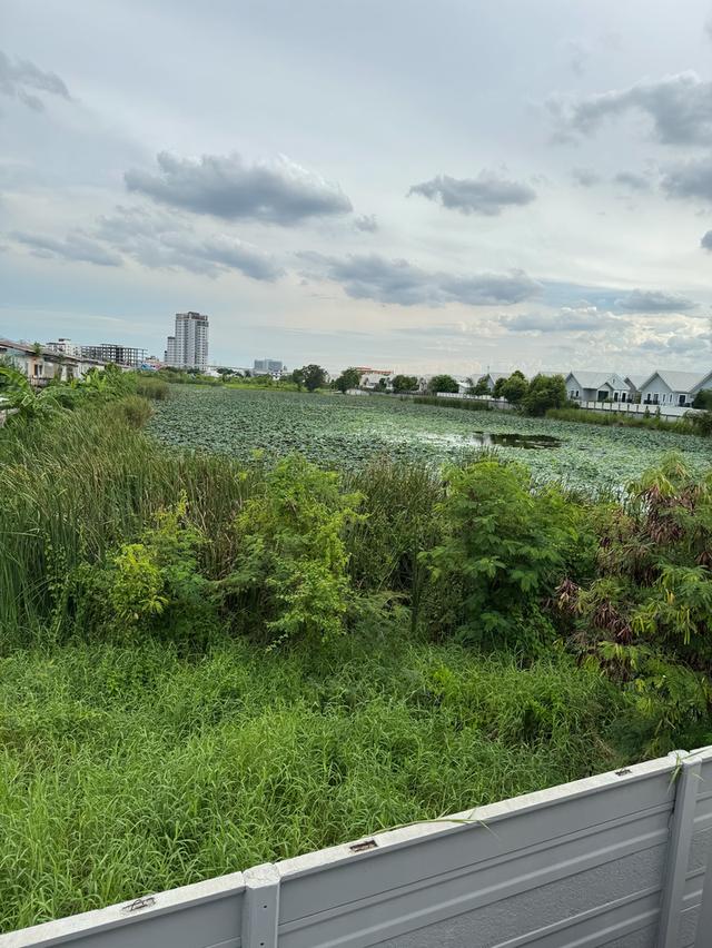 ขาย บ้านทาว์เฮา โครงการ AP 11