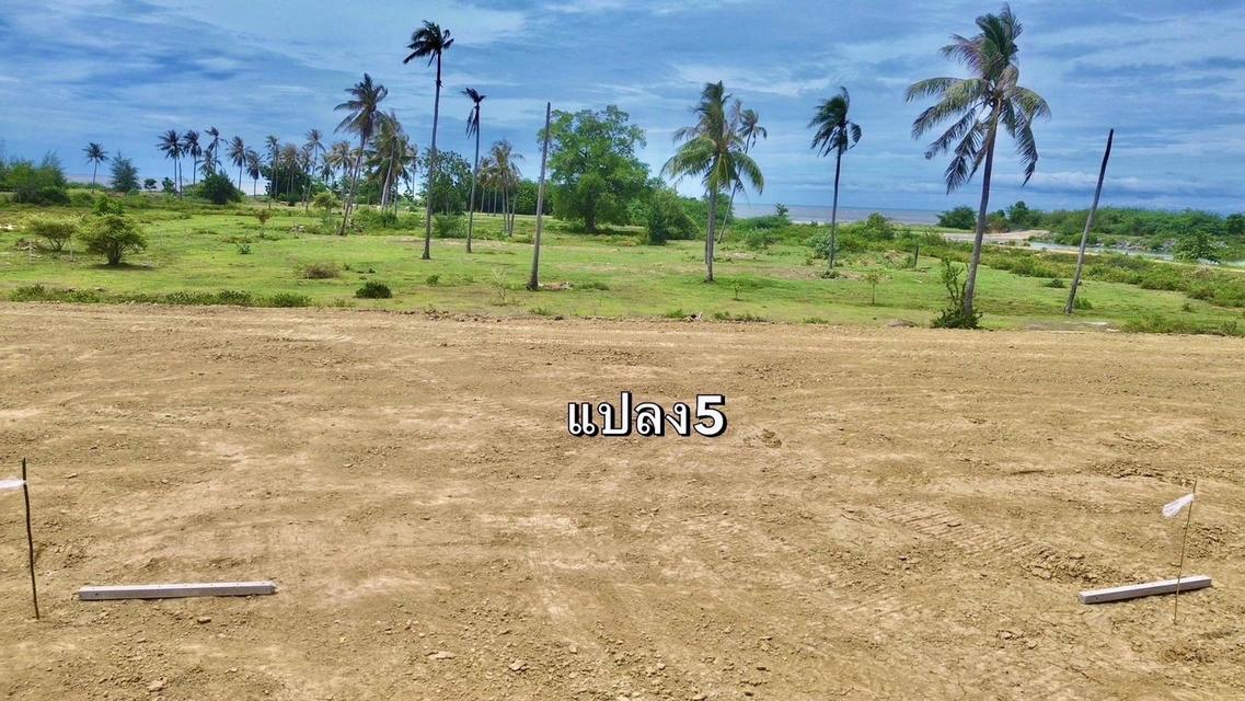 ที่ดิน บ่อนอก ประจวบคีรีขันธ์ติดทะเล 50 ตรวา ผ่อนได้  11