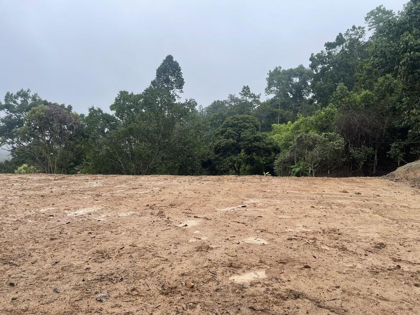 ขายที่ดินสายแม่ริม-ม่อนแจ่ม เชียงใหม่ 7