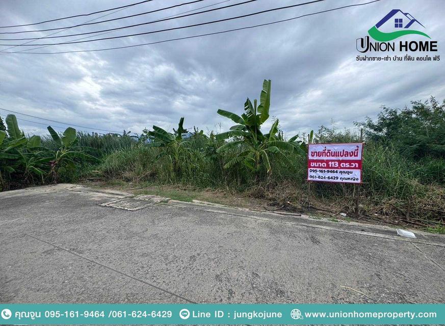 ขายที่ดินเปล่าถมแล้ว ถนนรังสิต-นครนายก 33 คลอง 2 ธัญบุรี (N.1879)