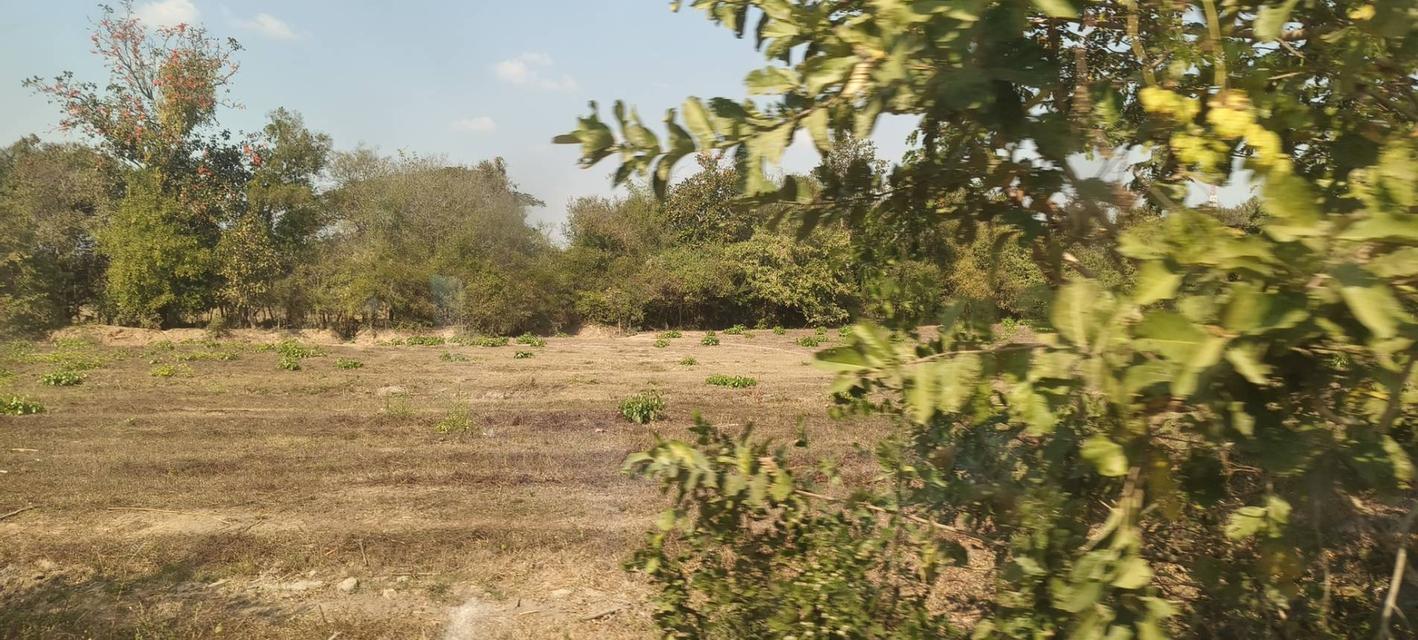 ที่ดินผืนใหญ่ ทำเลยุทธศาสตร์ เชียงใหม่–ลำพูน ศูนย์กลางการเติบโตอุตสาหกรรมและโลจิสติกส์ 8