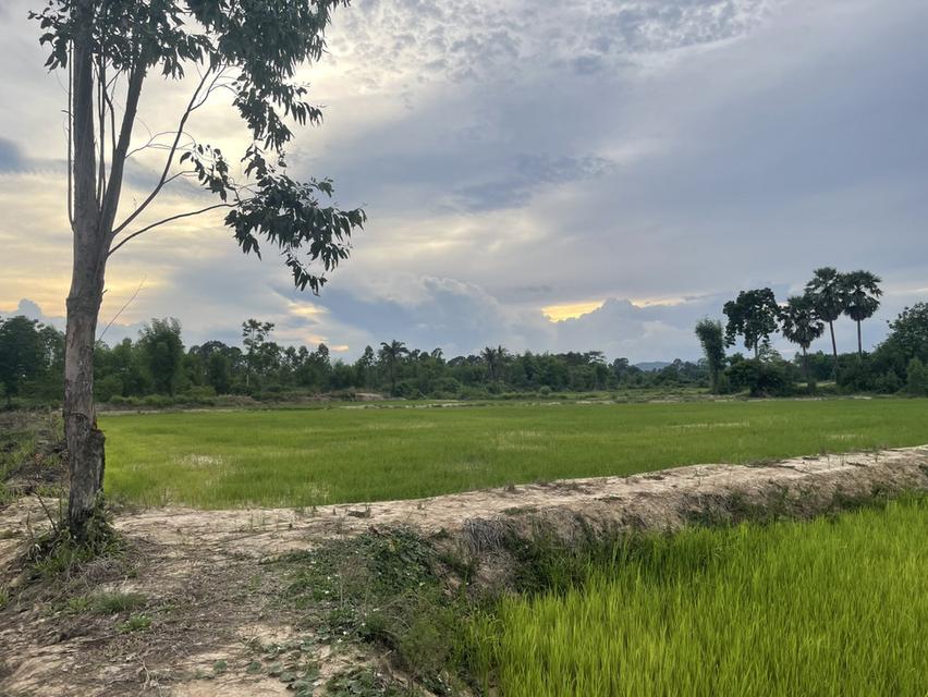 ที่ดิน จ.ปราจีนบุรี อ.กบินทร์บุรี ต.นาเเขม (บ้านท่าอุดม) 2