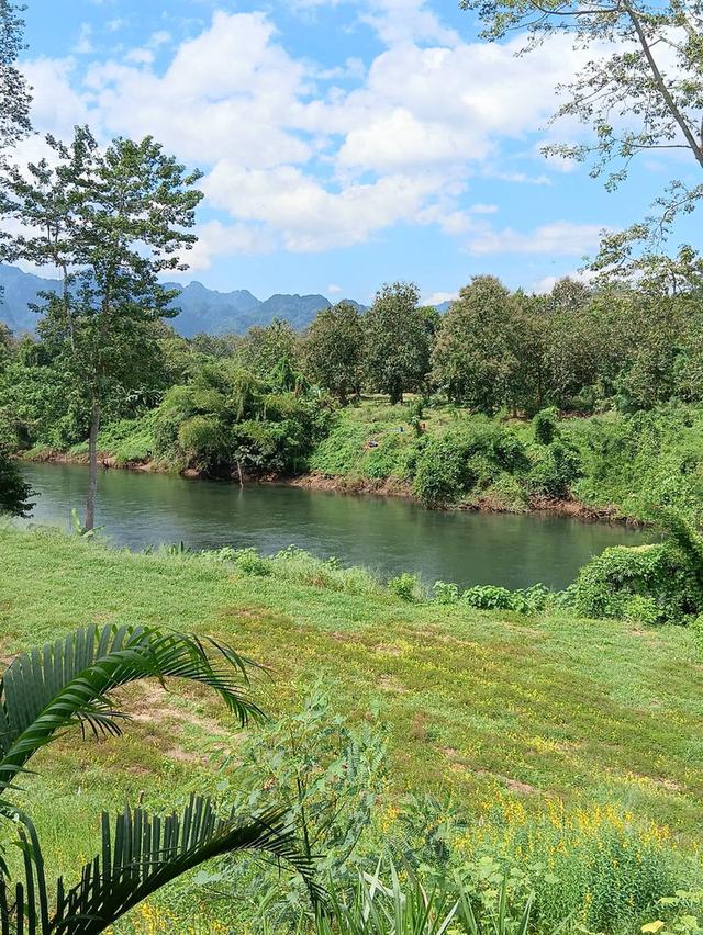 ที่ิดินพร้อมสวนทุเรียน จ.กาญจนบุรี อ.ทองผาภูมิ 16