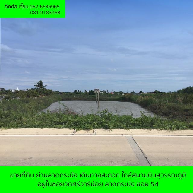 ขายที่ดิน ย่านสุวรรณภูมิใกล้สนามบิน 7