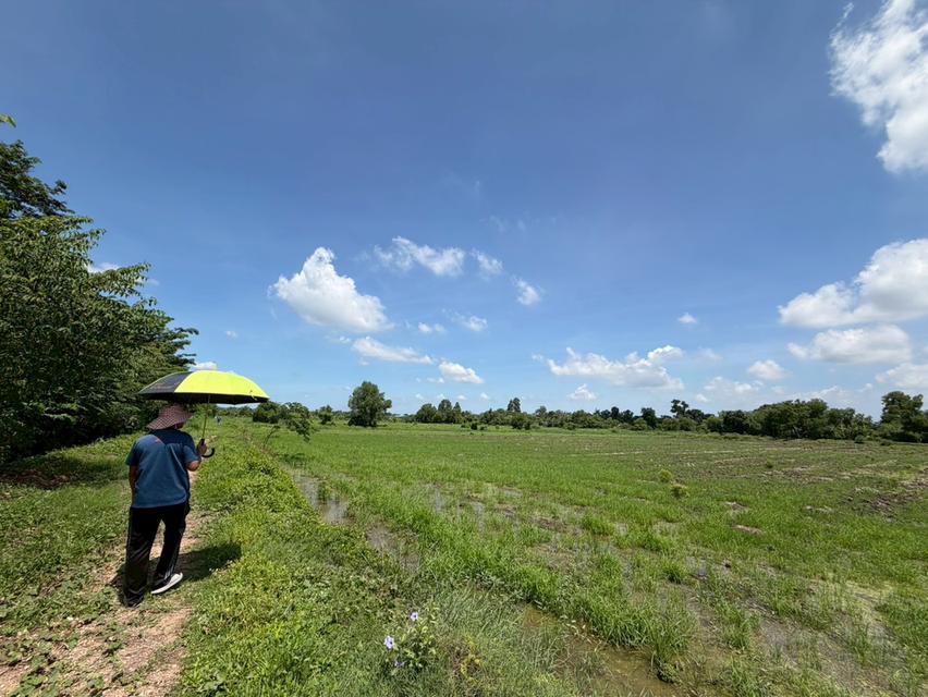ที่ดินติด4เลน นครนายก 3