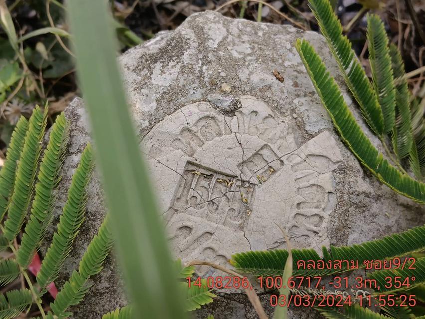 ‼️ขายที่ดินเปล่าถูกมากๆ คลองหลวง ซอยคลอง 3 9/2 11