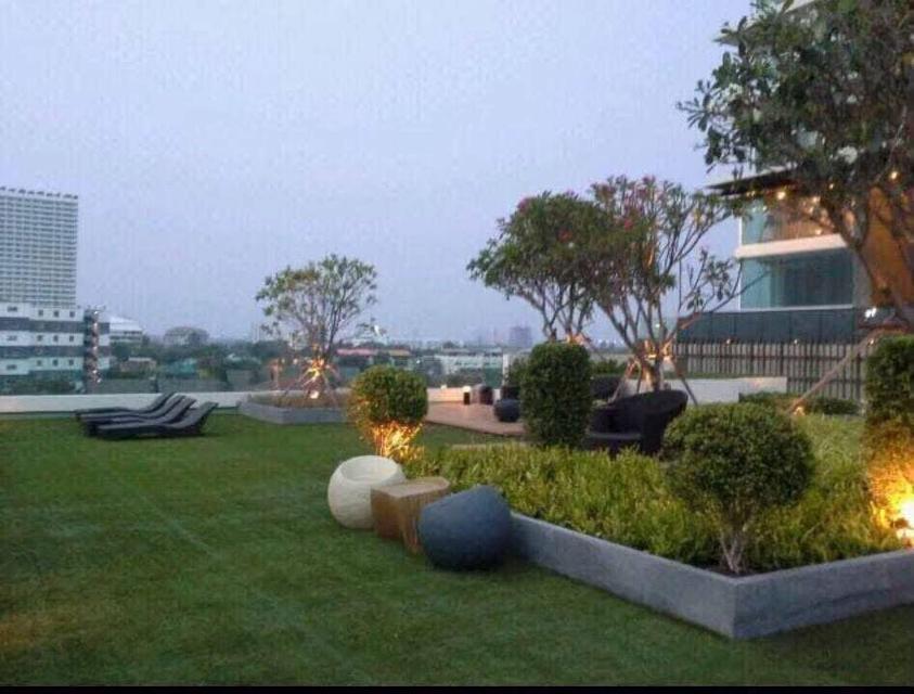 Cetus Beachfront Condo 1 bed 12