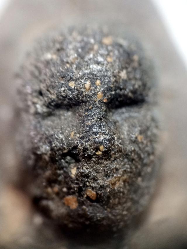 หลวงปู่ทวดเนื้อว่าน 97