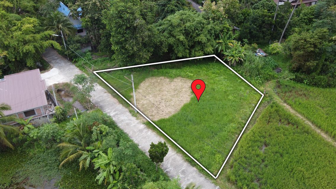 ที่ดิน 160 ตร.ว. ถมแล้ว น้ำ-ไฟ-พร้อม วิวทุ่งนาสวยๆ